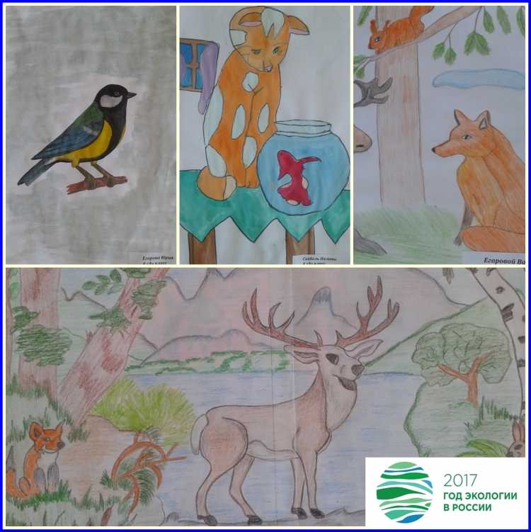 Рисунок на тему животный мир