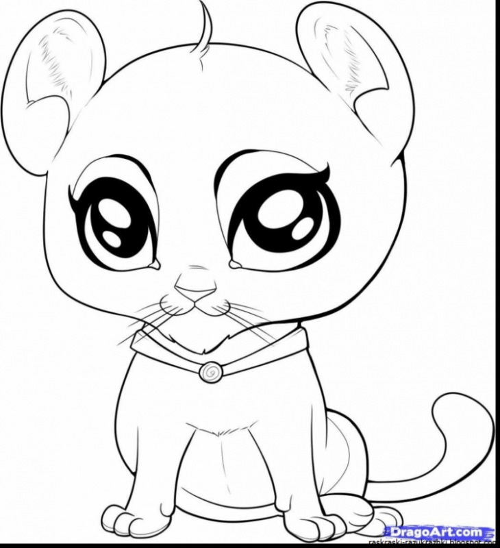 Рисунки для срисовки животные легкие