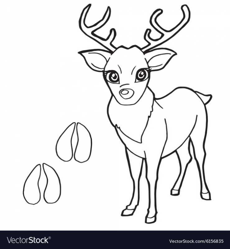 Олень раскраска