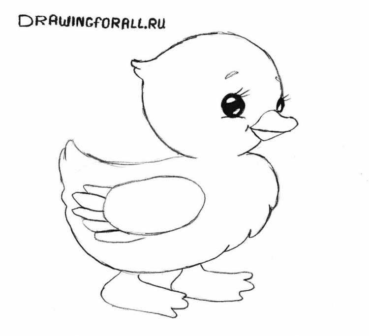 Цыпленок сбоку