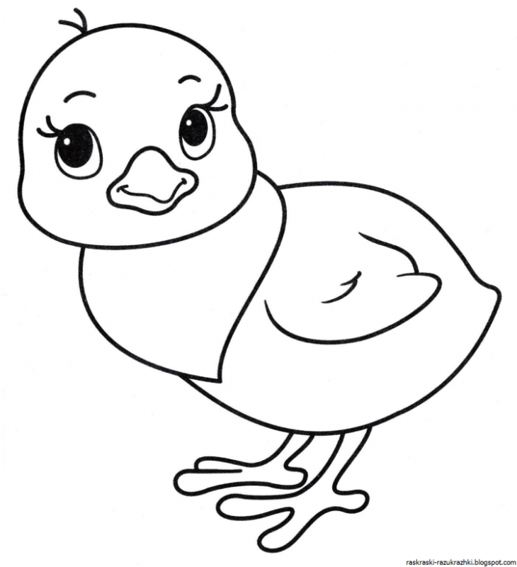 Цыпленок раскраска для детей