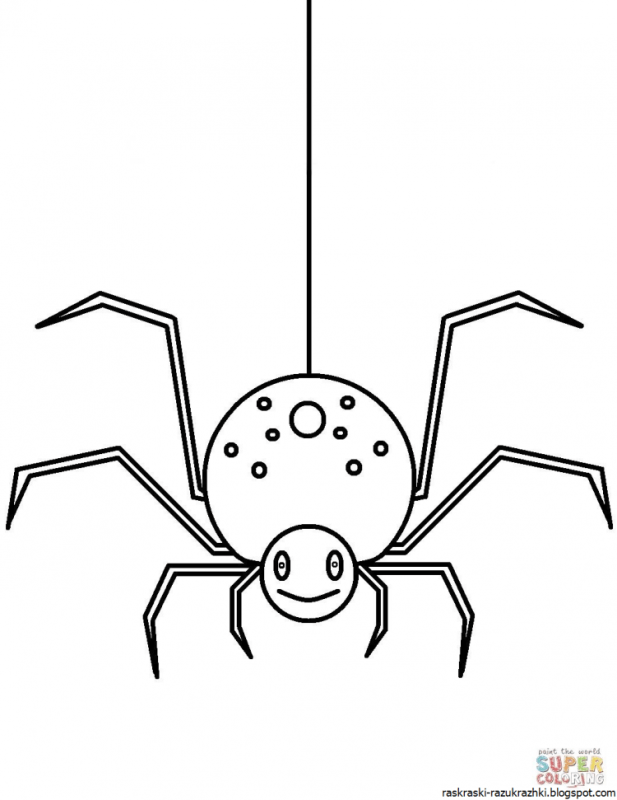 Раскраска паук на паутине