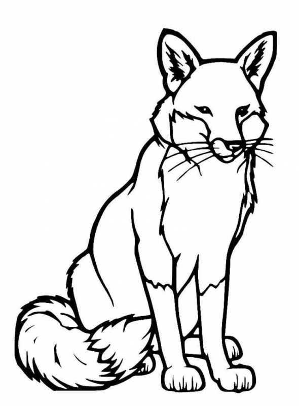 Раскраска антистресс лиса