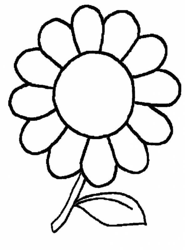 Раскраска ромашки розы