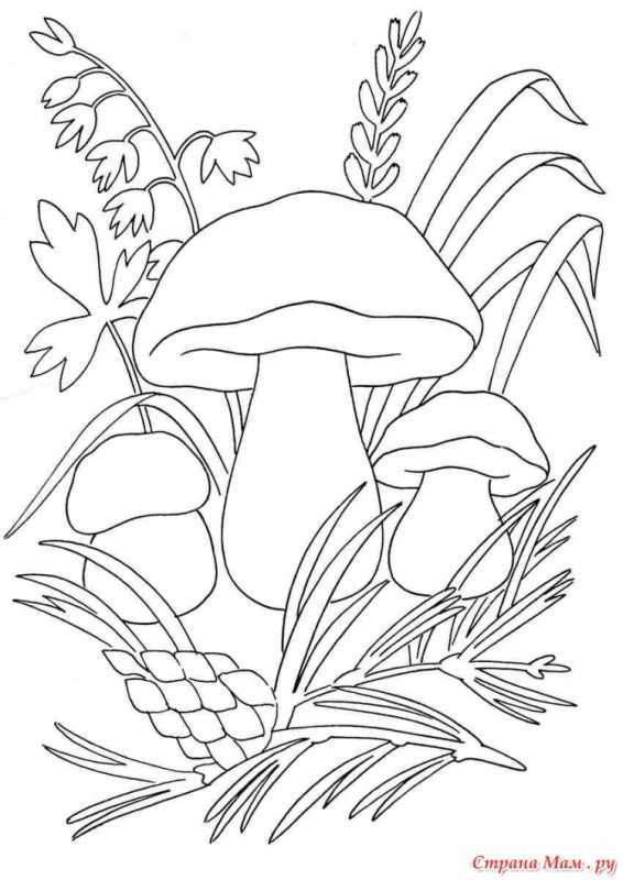 Несъедобные грибы раскраска для детей