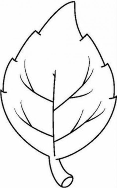 Контур осенних листьев
