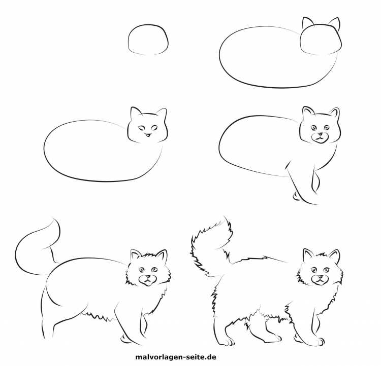 Последовательное рисование животных для детей