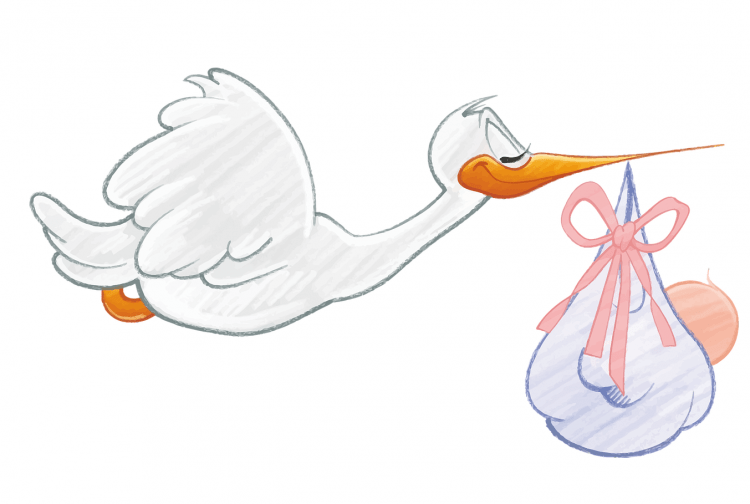 Аист новорожденный