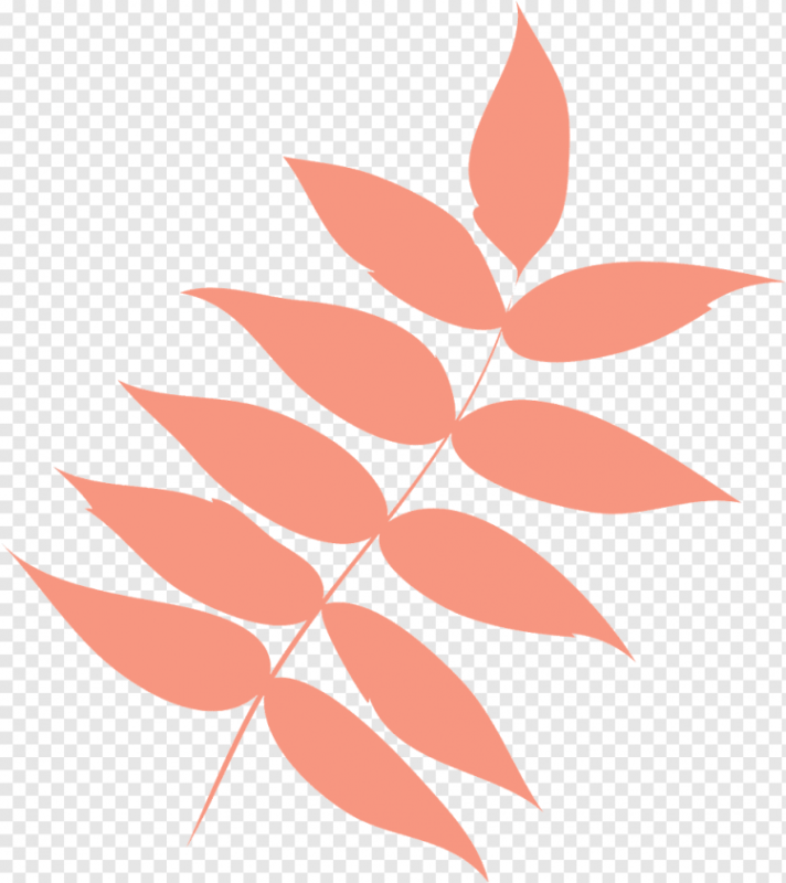 Рябиновый лист