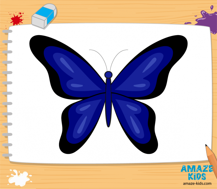 Бабочка рисунок детский карандашом