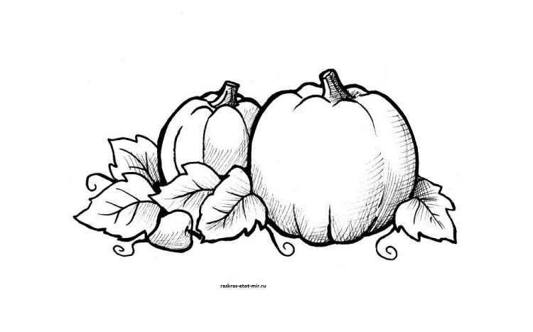 Тыква на Хэллоуин раскраска