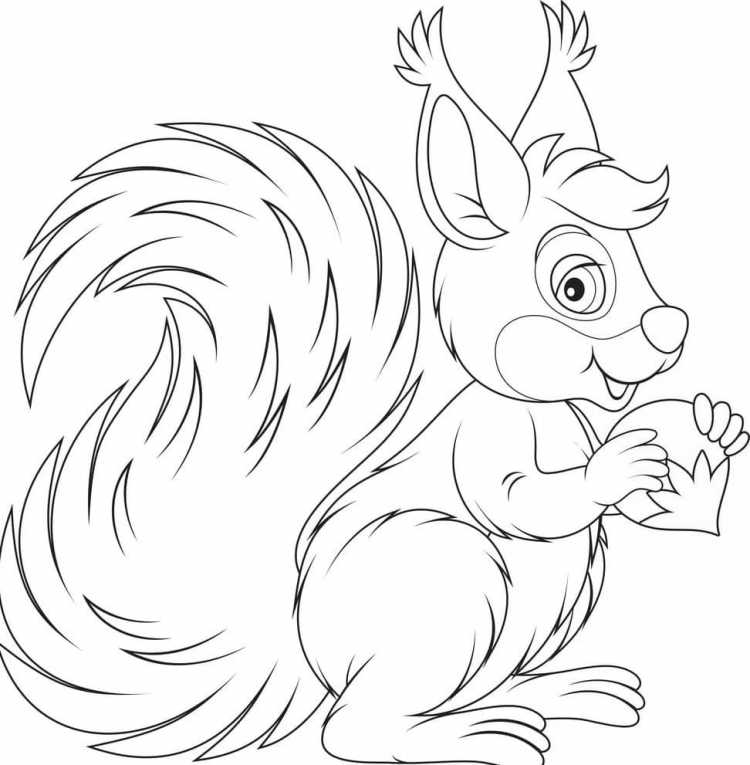 Раскраска Белочка