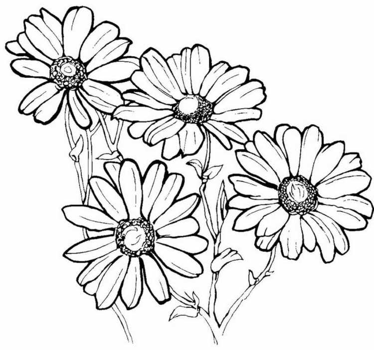 Мать и мачеха раскраска