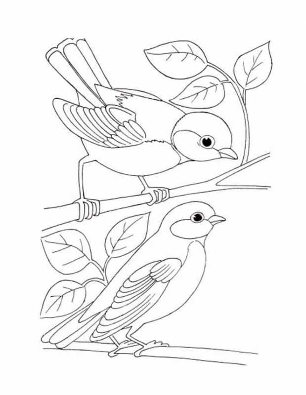 Снегирь на ветке раскраска