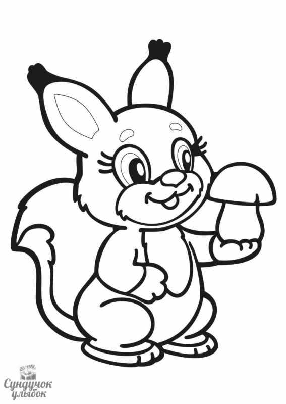 Белка раскраска