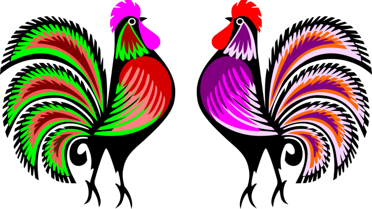 Петух карандашом