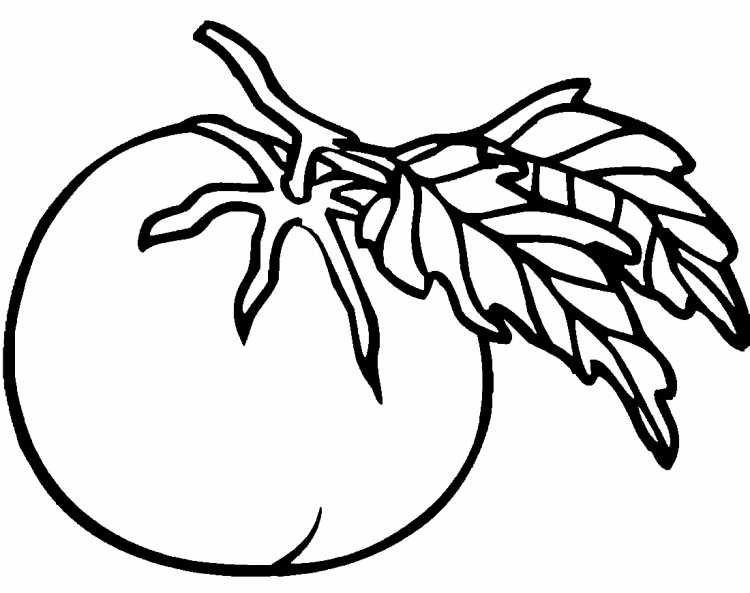 Овощи контур