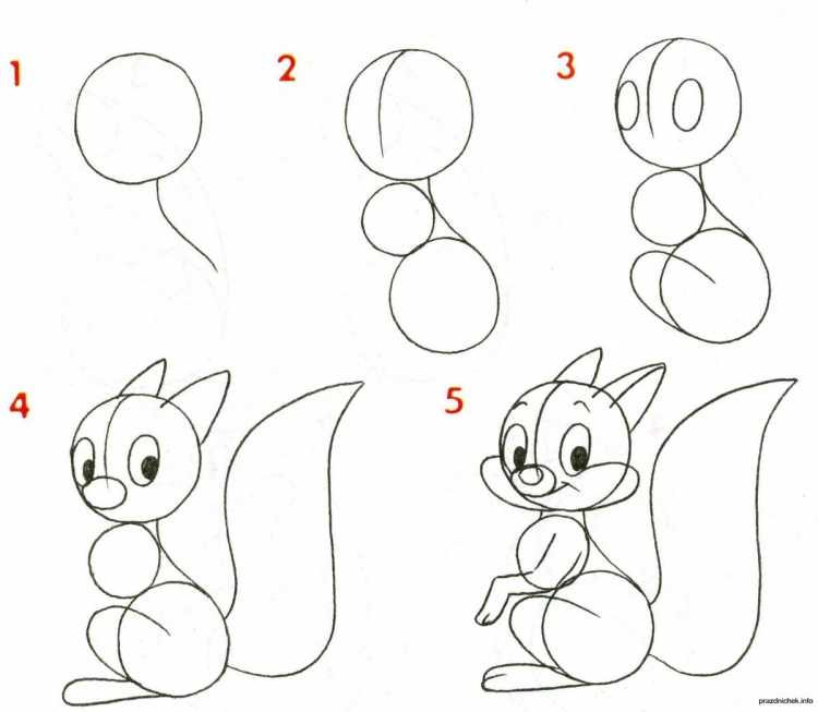 Как нарисовать белку
