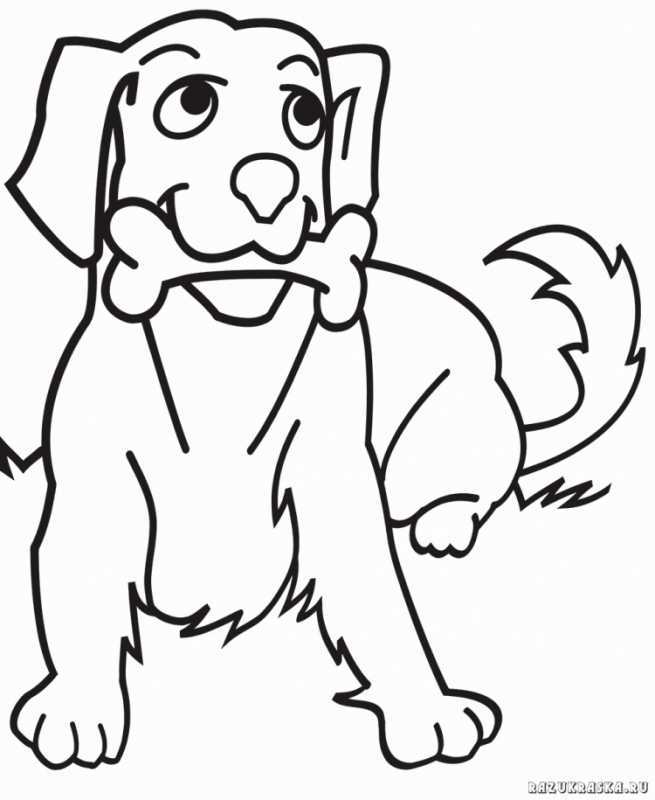 Раскраска "котята и щенята"