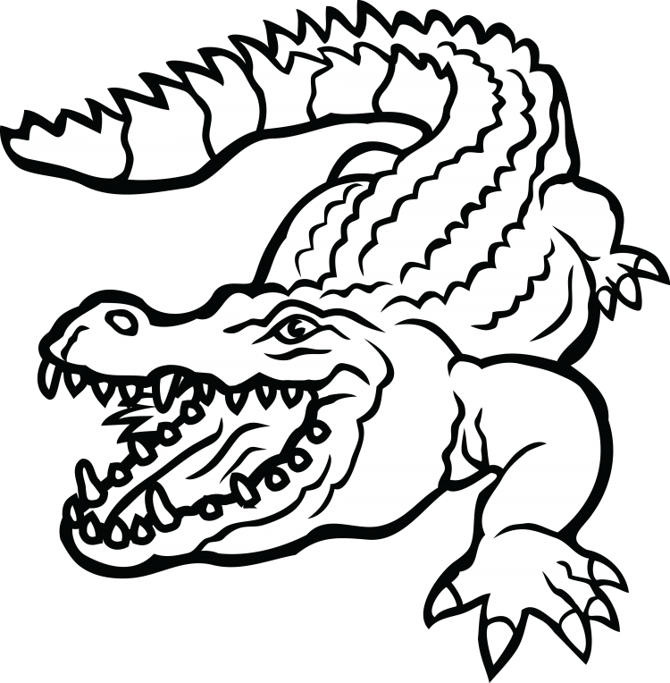 Крокодил картинка раскраска