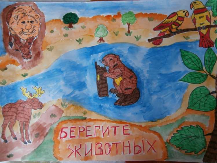 Плакат береги животных