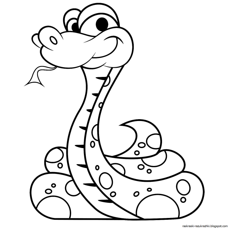 Питон раскраска