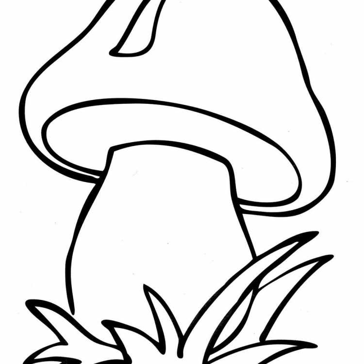 Гриб паутинник раскраска