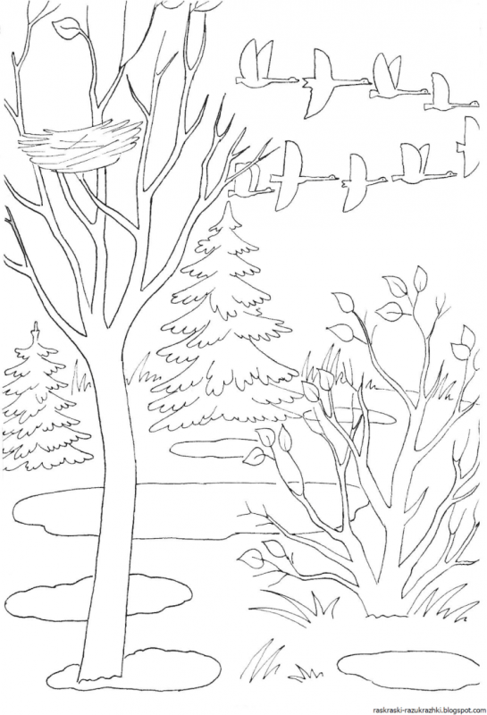 Раскраска. Лето