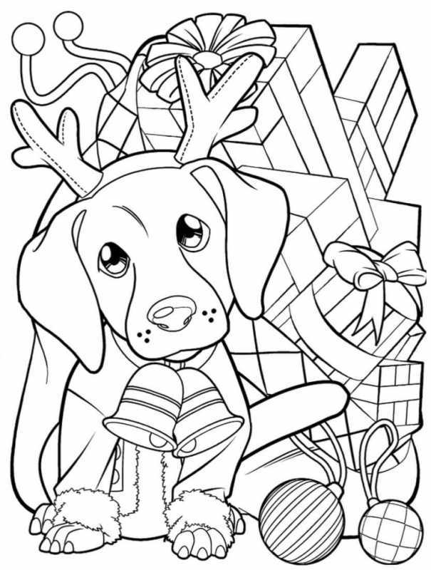 Раскраска собака для детей 7 лет