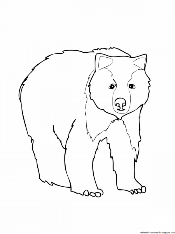 Панда раскраска для детей