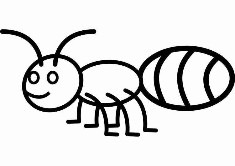 Муравей веселый срисовка