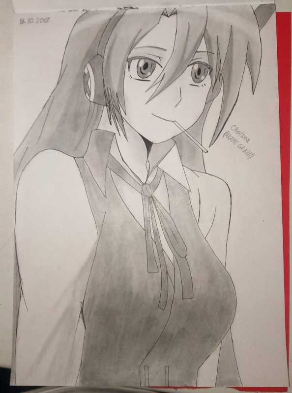 Убийца акаме стиль рисовки