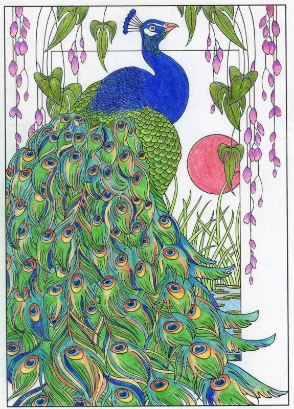 Разукрашки для девочек Павлин