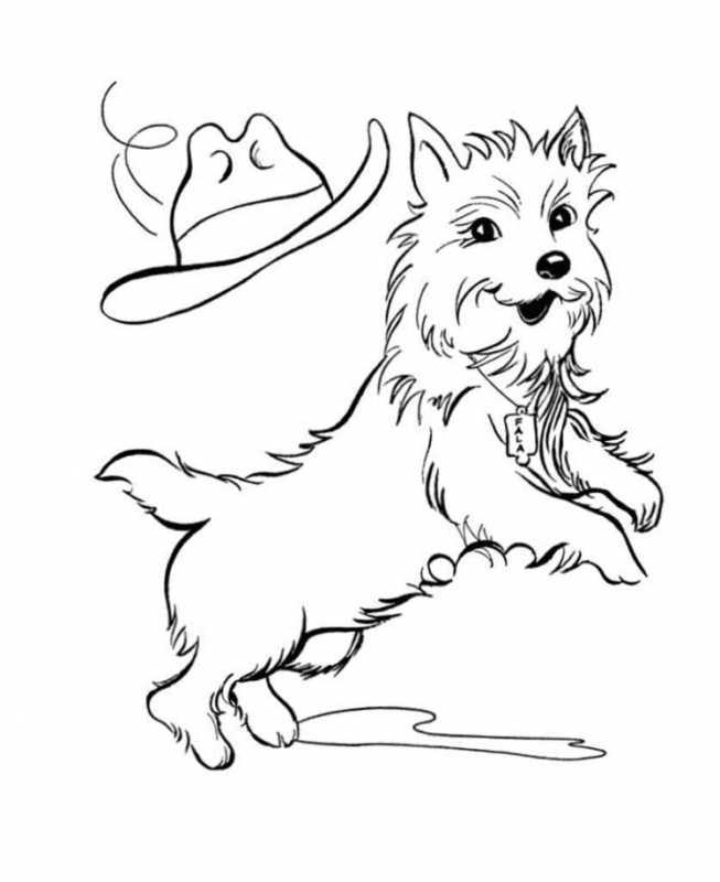 Раскраски для девочек 3 года собачка