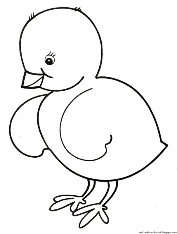 Рисунок цыпленка для раскрашивания