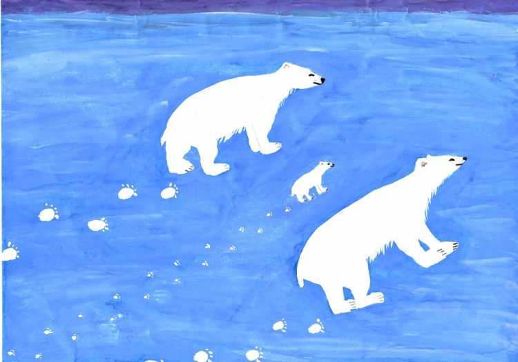 Арктика глазами детей конкурс