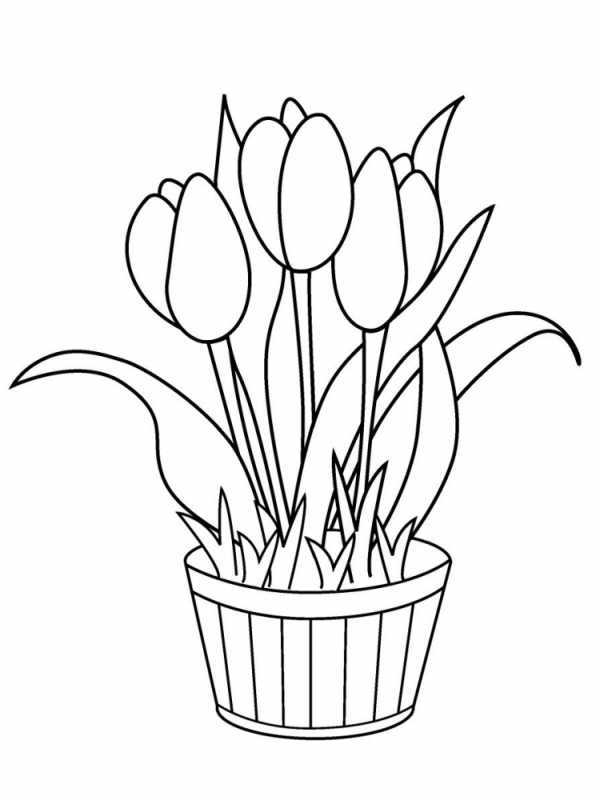 Раскраска цветы тюльпаны
