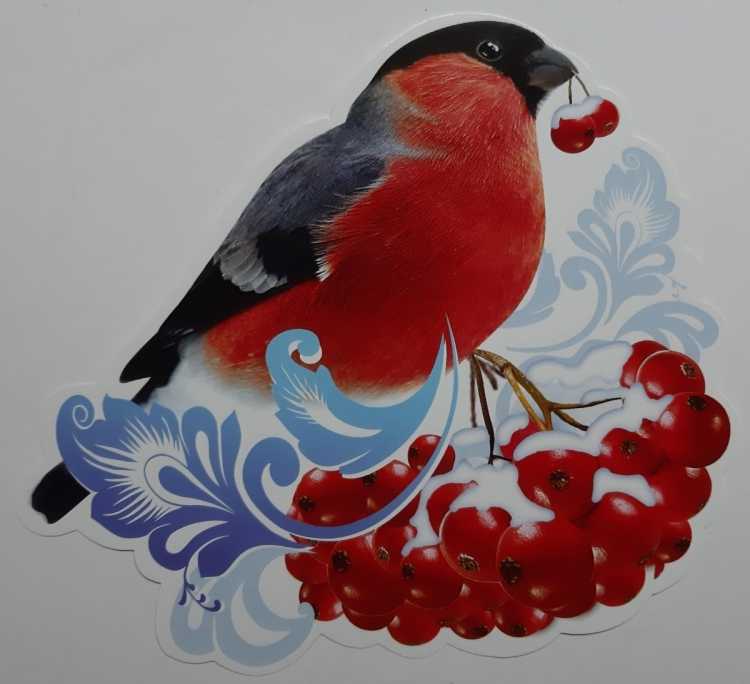 Снегирь карандашом