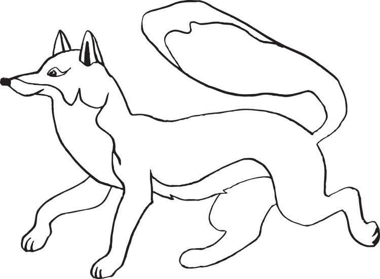 Раскраски Лисичка Мона