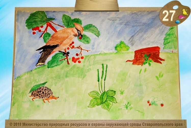 Сохраним природу Ставрополья рисунки