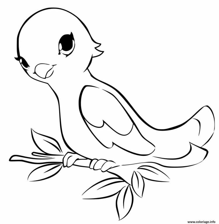 Странствующий голубь раскраска