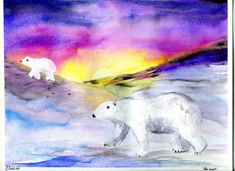 Животные севера мультяшные