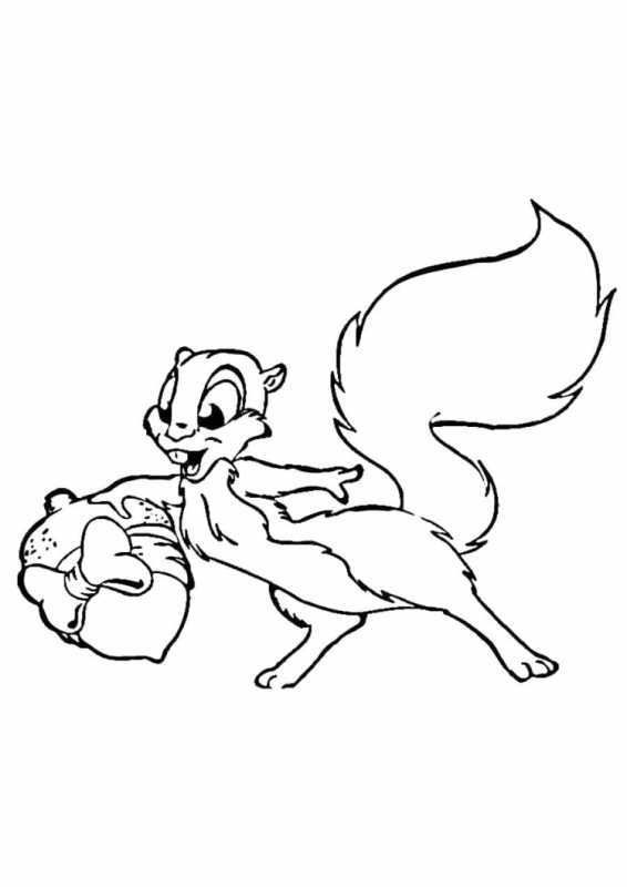 Раскраска Белочка