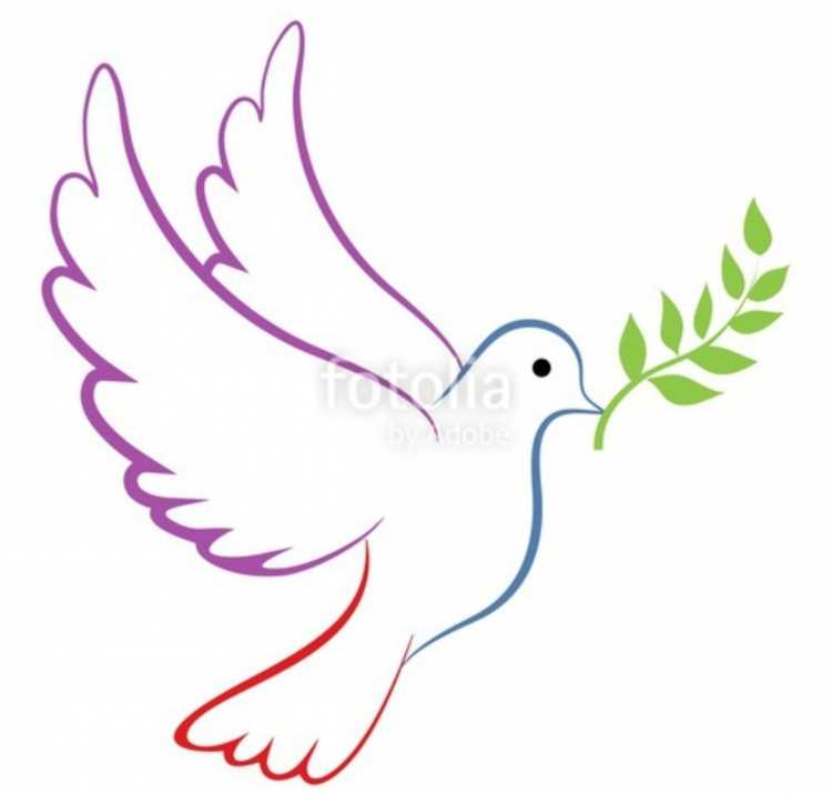 Горлица обыкновенная раскраска