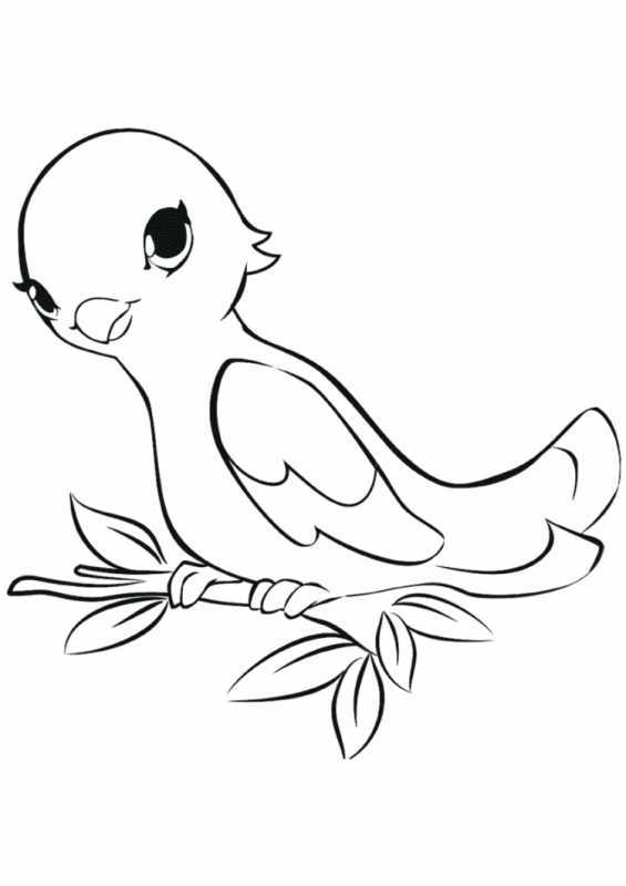 Птицы. Раскраска