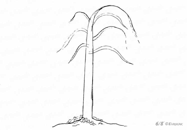 Дерево весной рисунок