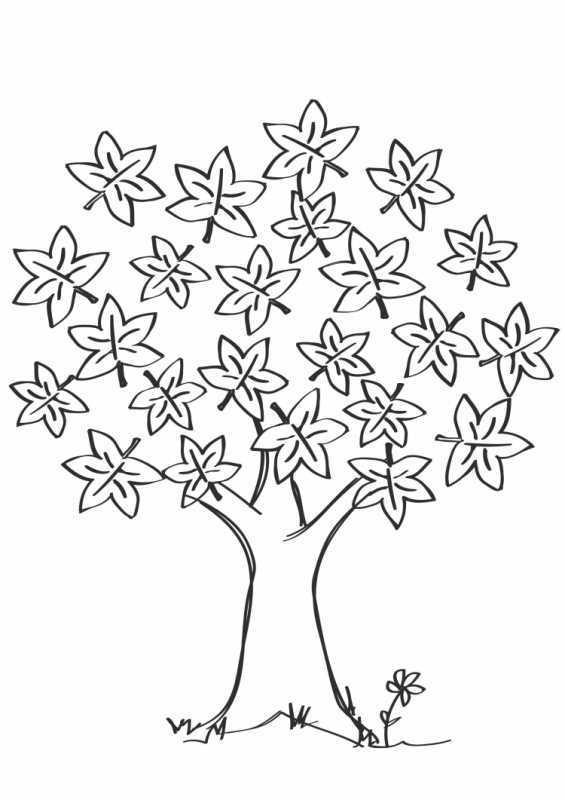 Рисуем дерево