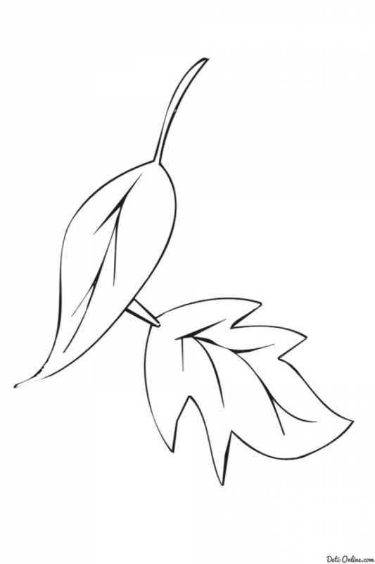 «Большие листочки» раскраска