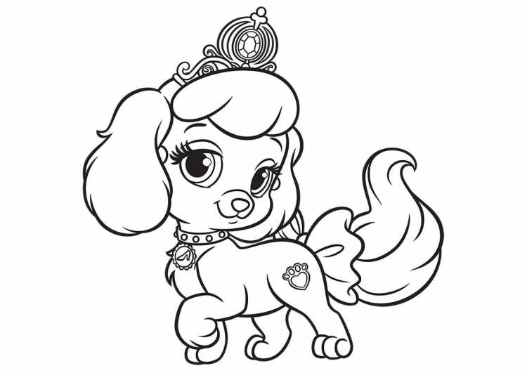 Раскраска "собаки"