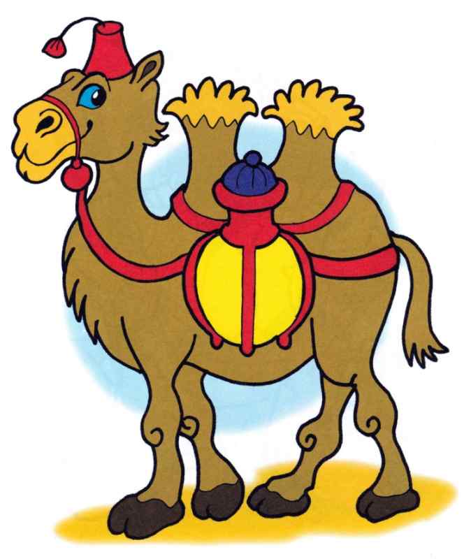 Верблюд раскраска для детей